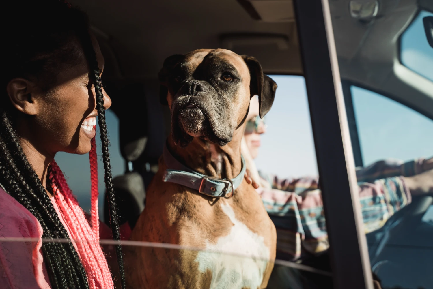 Ford Ranger Dog Safety Belt for Boxers