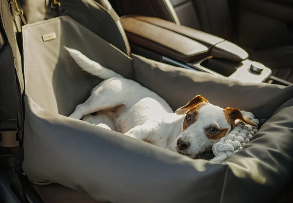 Nissan Murano Dog Car Seat for Chihuahuas