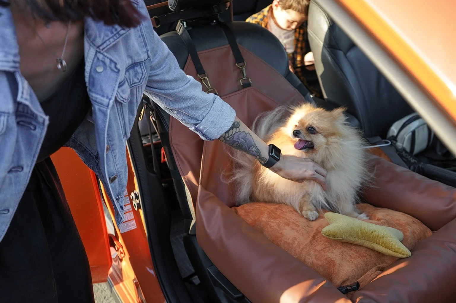 Nissan Murano Dog Car Seat for Chihuahuas