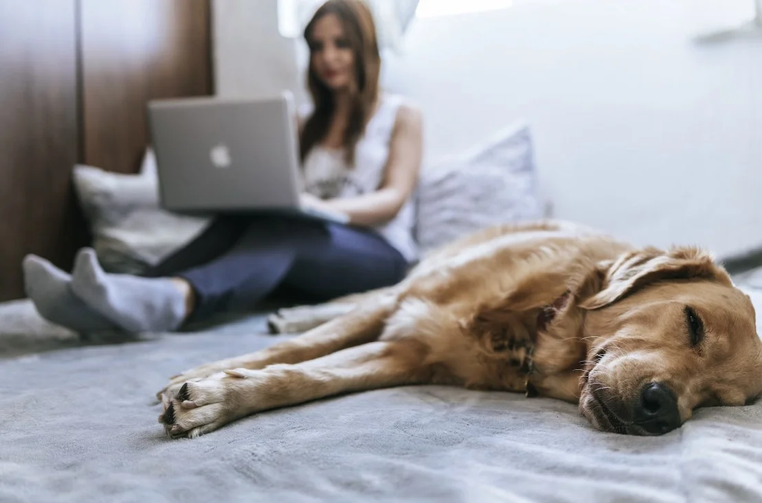 smart beds for special needs